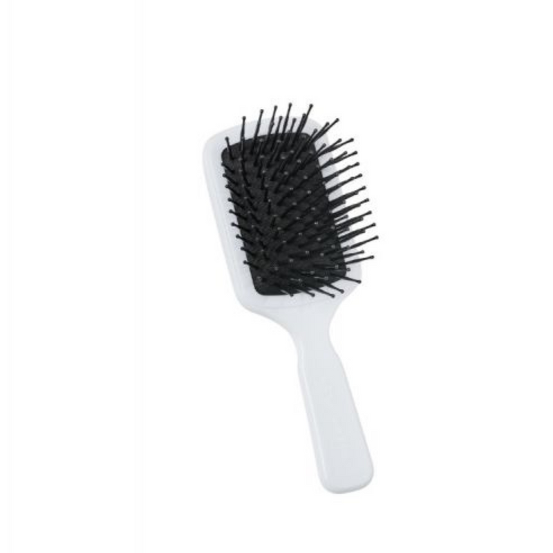 Delicata Brush