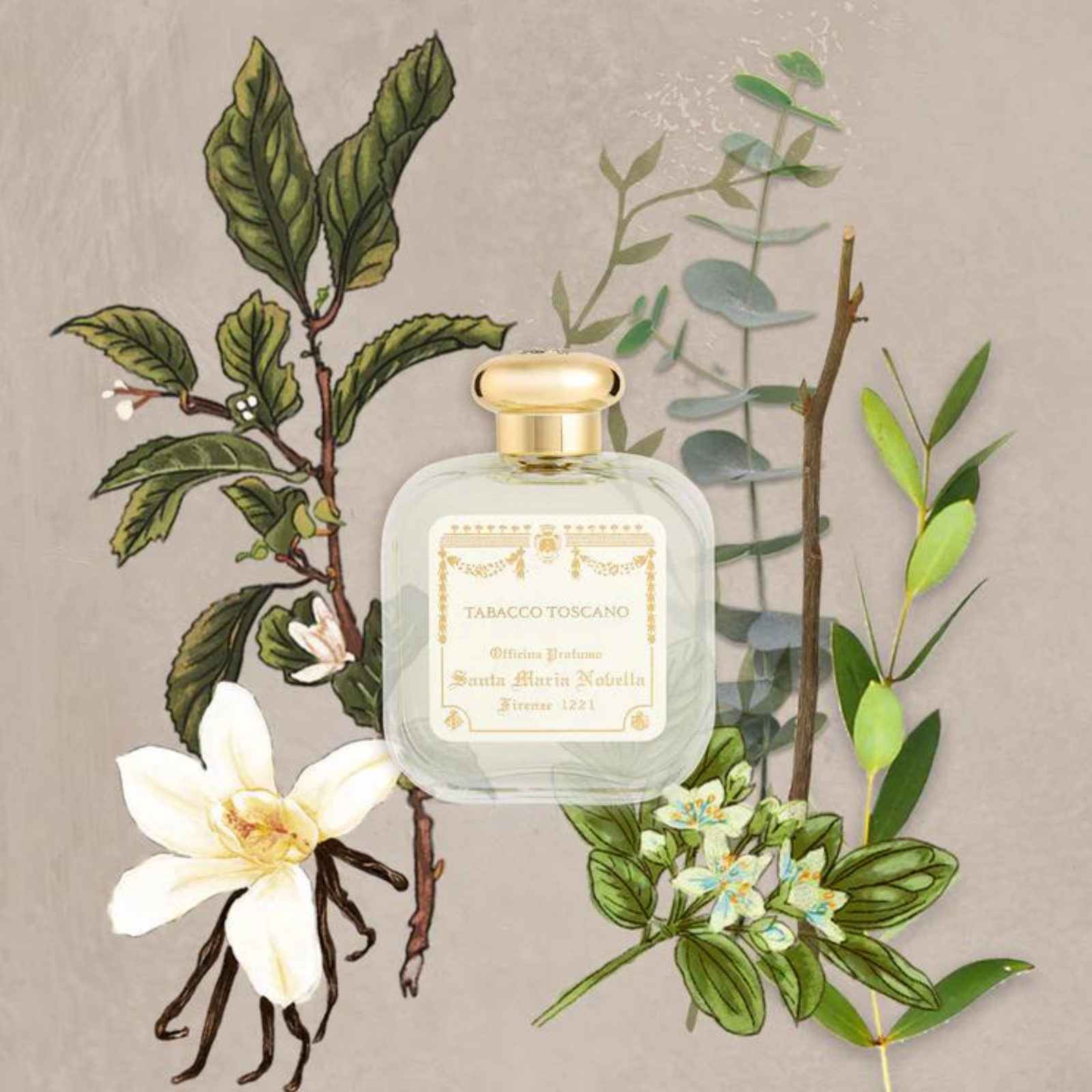 tobacco toscano Santa Maria Novella Tabacco Toscano Eau de Cologne tobacco toscano Santa Maria Novella Tabacco Toscano Eau de Cologne